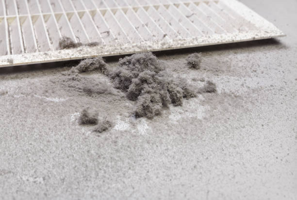 Best Local Air Duct Cleaning Services  in Maineville, OH