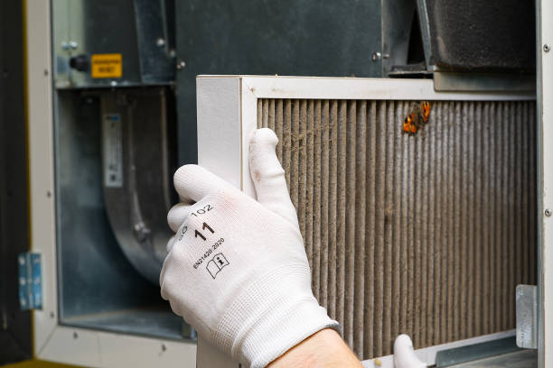 Best Ventilation Cleaning Services  in Maineville, OH